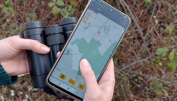 Initiation aux chants d'oiseaux et à la saisie sur NaturaList (sur le terrain)